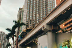 Downtown-Miami-Street-6-SCVALENZANO