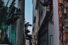 Miami-Beach-Alley-SCVALENZANO