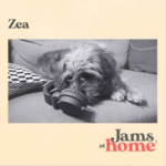 DJ ZEA - Jams at Home
