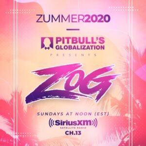 Zummer 2020 by DJ Zog