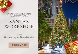 Meet & Greet Santa at Miami's Magic City